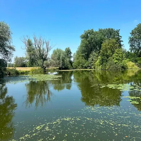 Le De L'heron Moulle